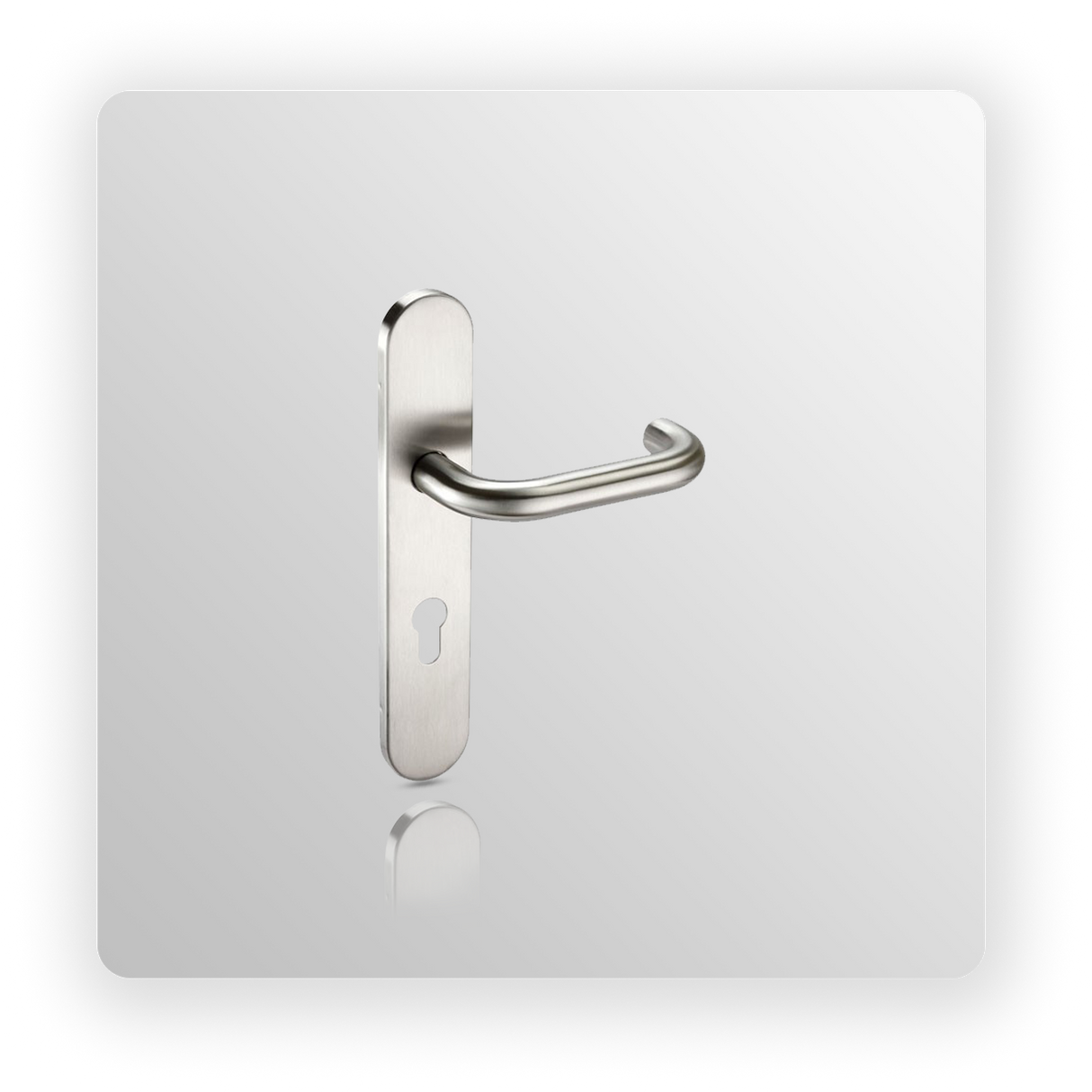 Satin Stainless Steel Euro Lock Door Handles on Backplate