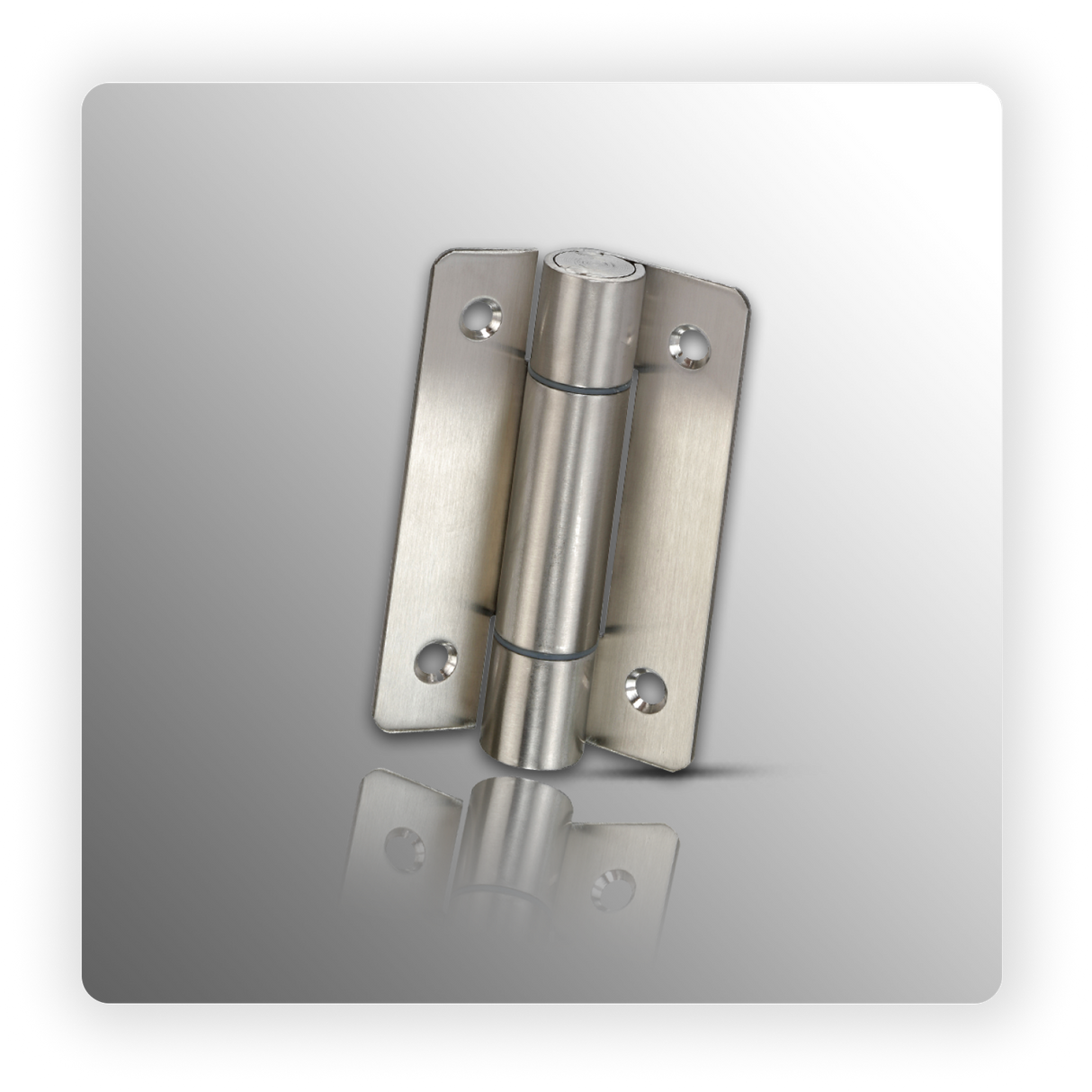 Sprung Hinges Adjustable in Satin Stainless Steel