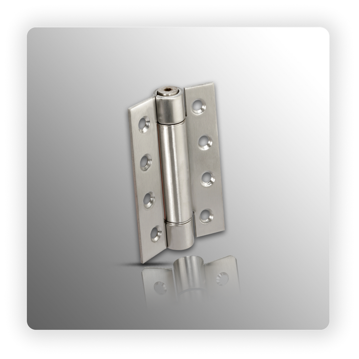 Toilet Cubicle Stainless Steel Spring Hinges with 18mm Leaf