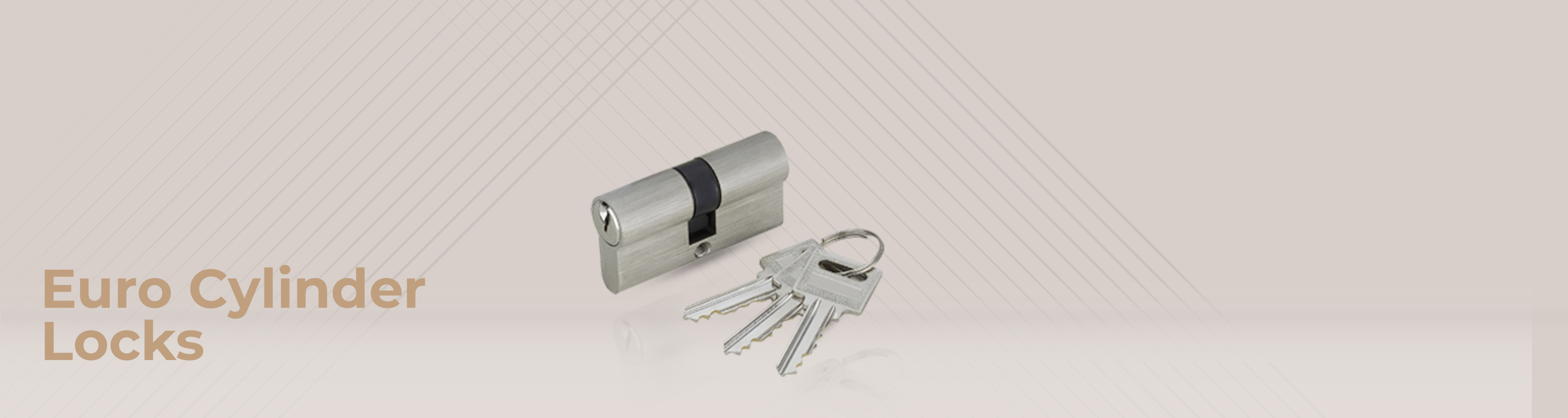 Euro cylinder locks
