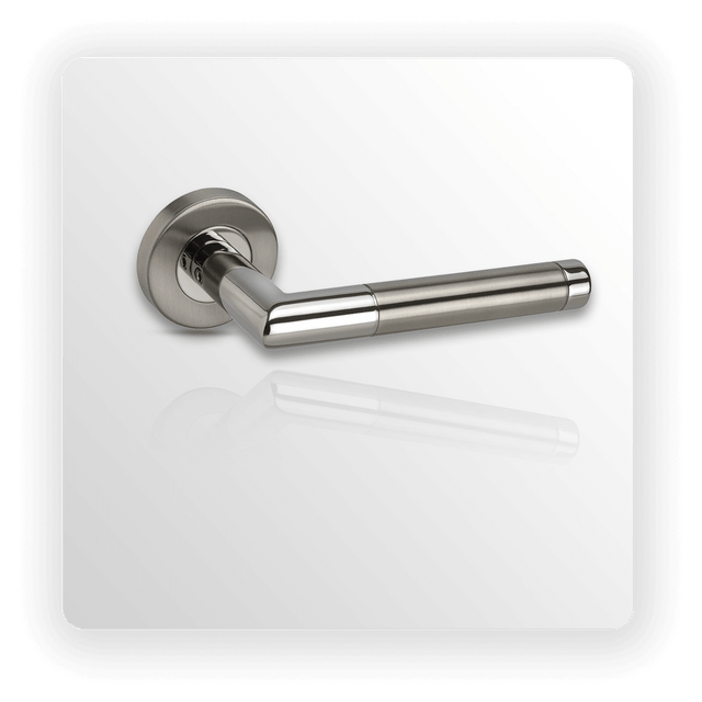 Stainless Steel Interior Door Handles on Rose with Duo Finish