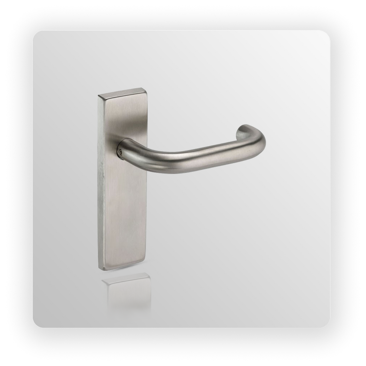 Stainless Steel Door Handles on Backplate