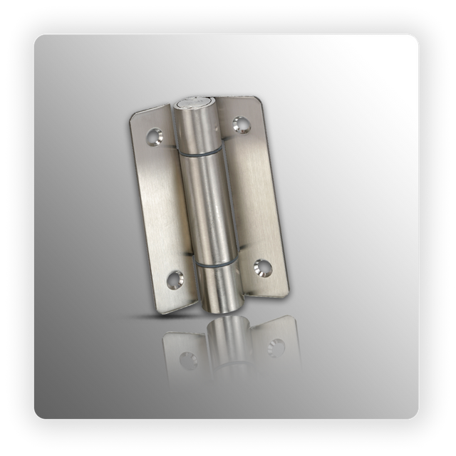 Unsprung Hinges for Cubicle in Stainless Steel