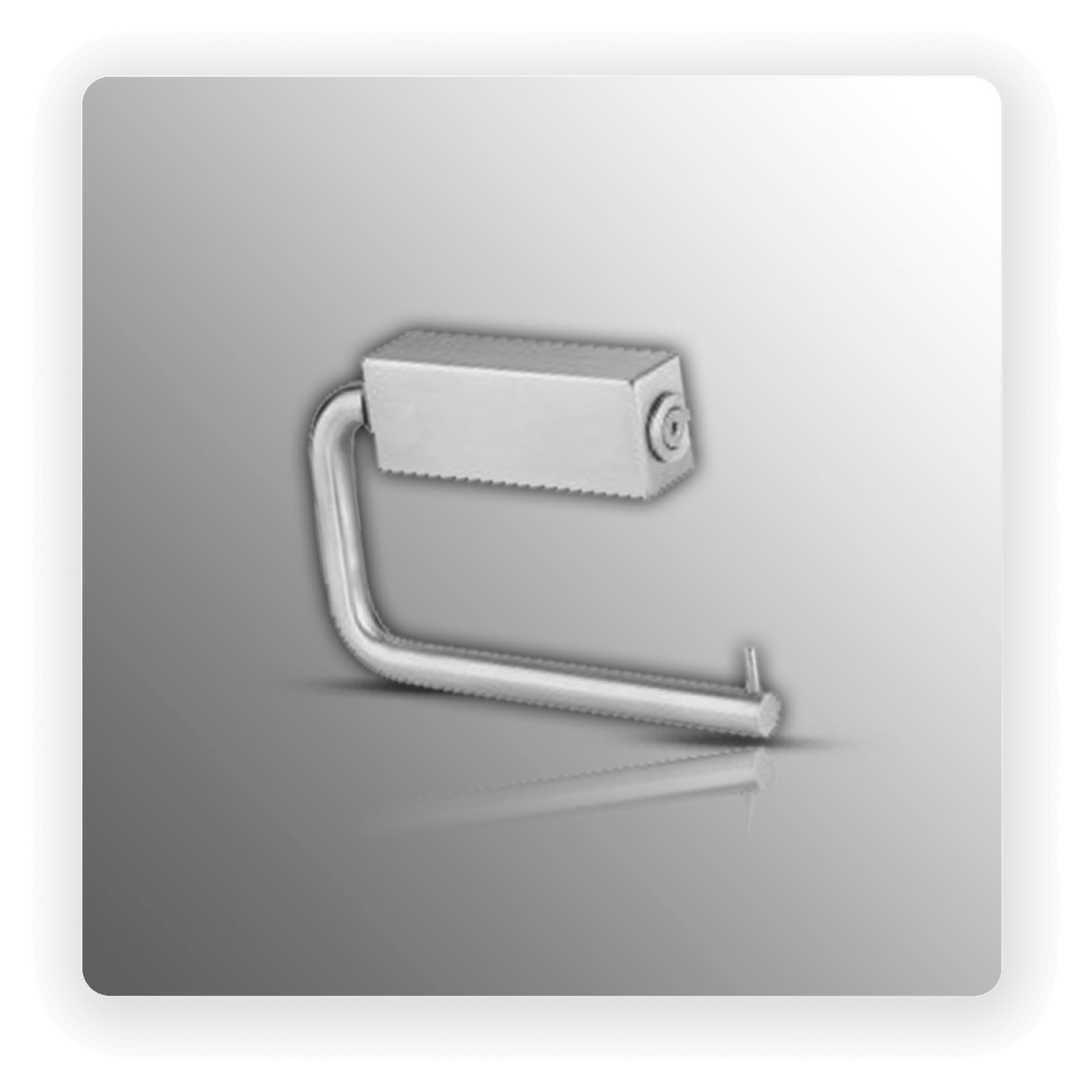 Stainless Steel Toilet Roll Holder in Brushed Finish
