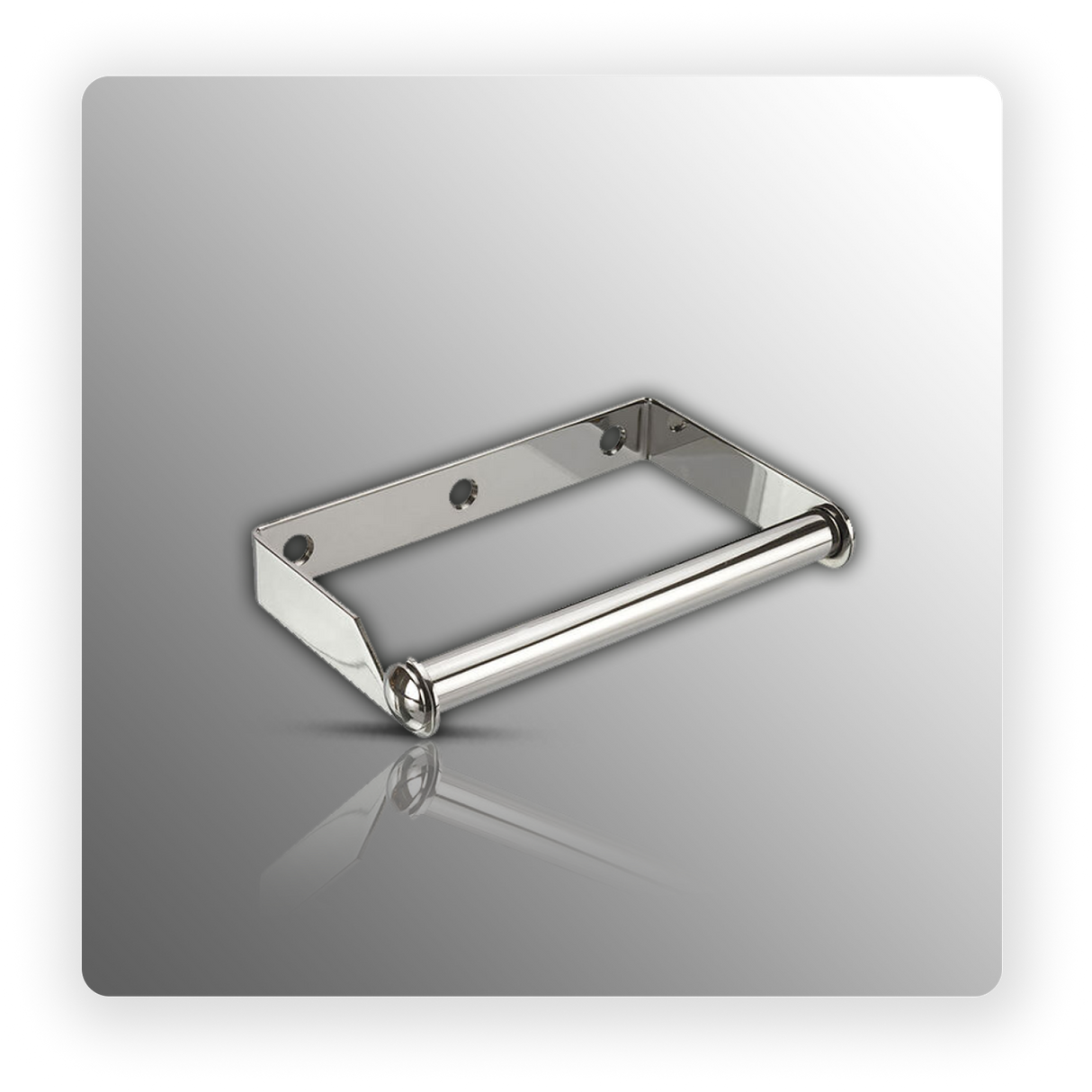 Polished Stainless Steel Toilet Roll Holder