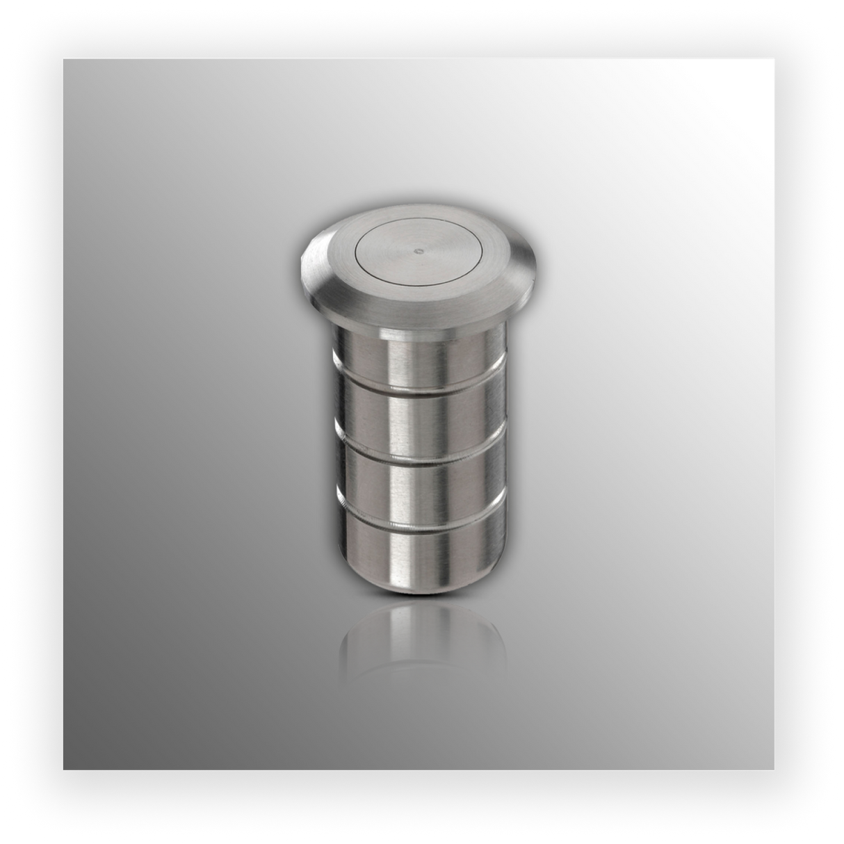 Dust Excluding Socket with Satin Stainless Steel Finish
